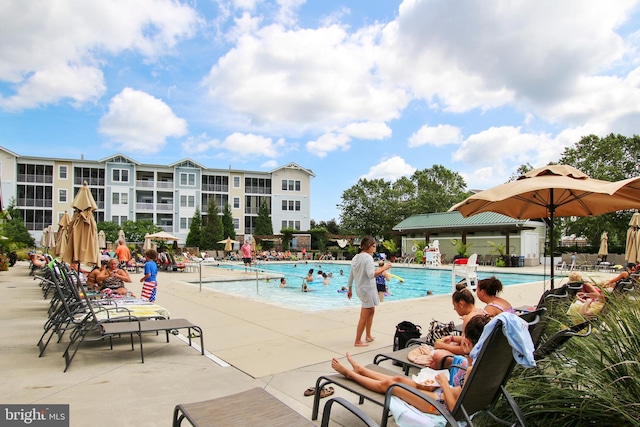 view of pool featuring a patio area