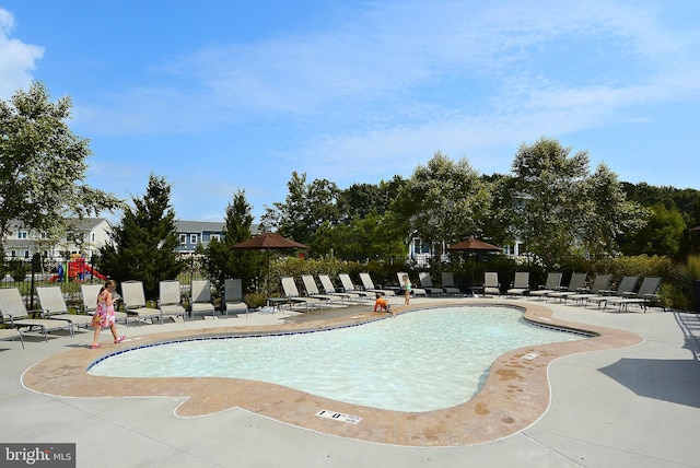 view of swimming pool with a patio