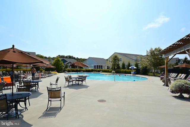 view of swimming pool with a patio area