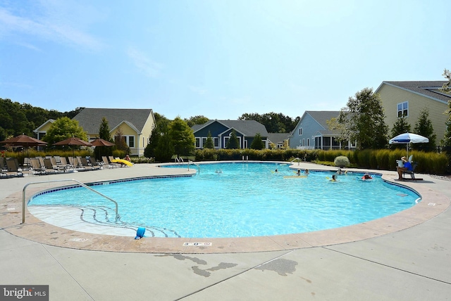 view of pool featuring a patio