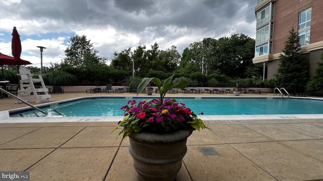 view of swimming pool featuring a patio