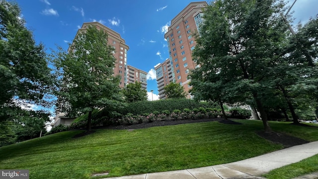 view of community featuring a yard