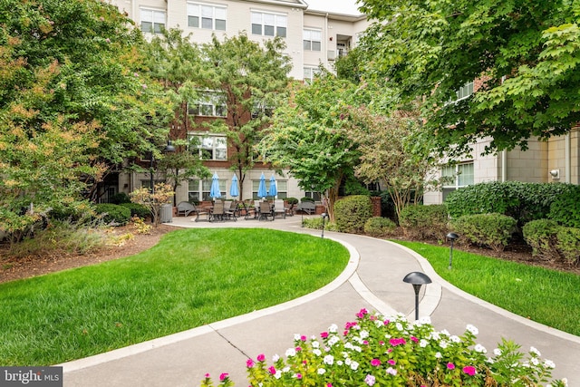 view of property's community featuring a lawn