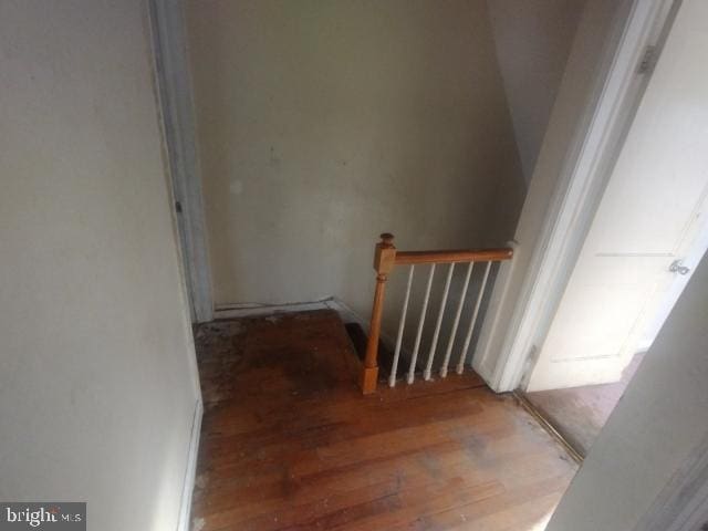 stairs featuring hardwood / wood-style flooring