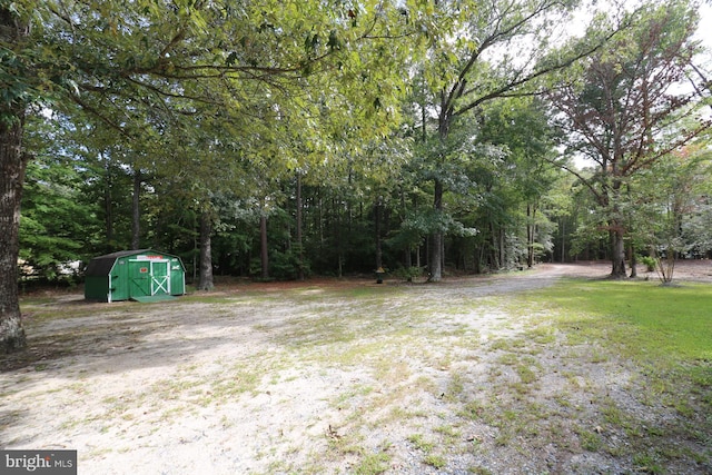 view of yard with a storage shed