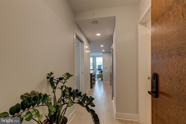 hallway featuring light hardwood / wood-style floors