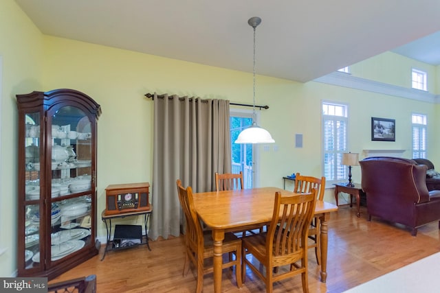 dining room featuring wood-type flooring and plenty of natural light