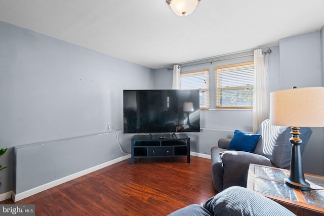 living room with hardwood / wood-style floors