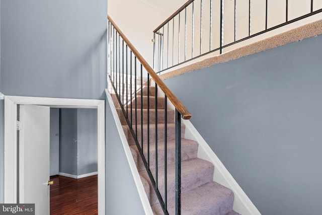 staircase with hardwood / wood-style flooring