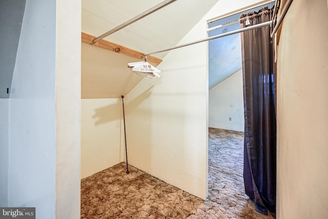 walk in closet with carpet floors and lofted ceiling