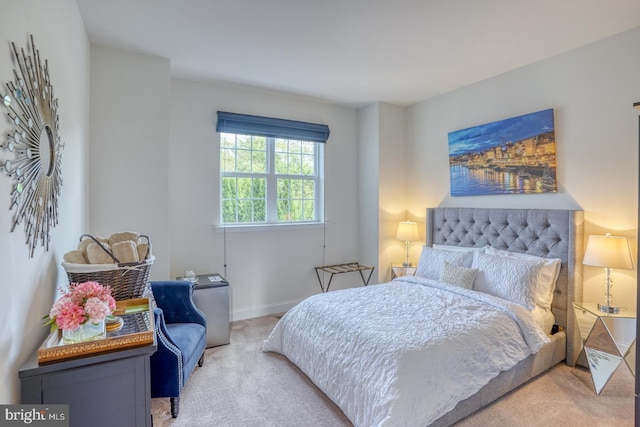 bedroom with carpet flooring