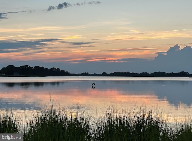 property view of water