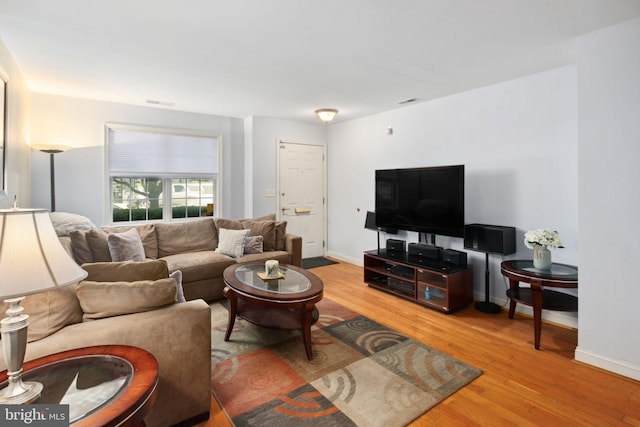 living room with wood-type flooring