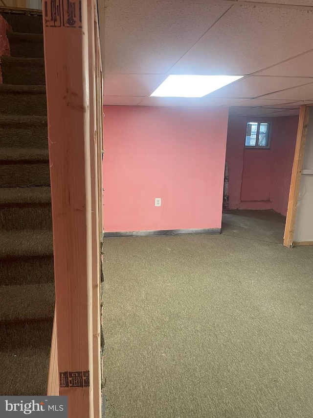 basement with carpet