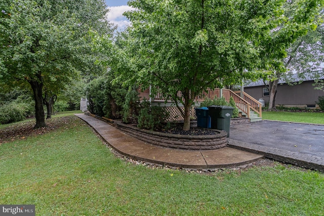 view of yard featuring a patio