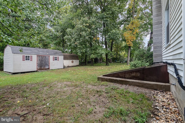 view of yard featuring a shed