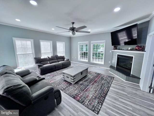 living room with light wood-type flooring, ornamental molding, and ceiling fan