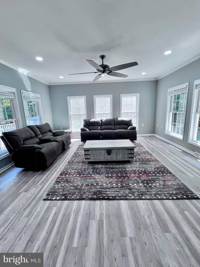 living room with ceiling fan, light wood-type flooring, crown molding, and a wealth of natural light