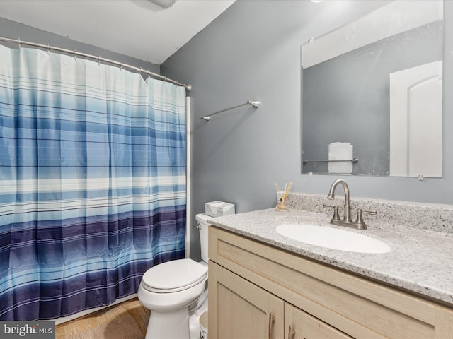 bathroom featuring vanity, toilet, wood-type flooring, and a shower with curtain