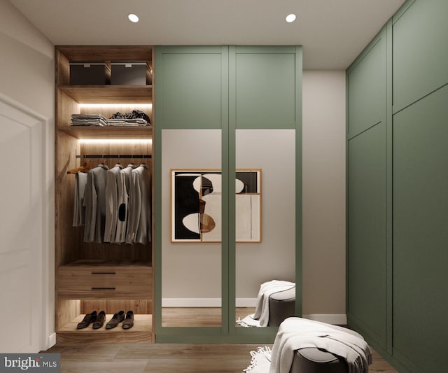 view of closet