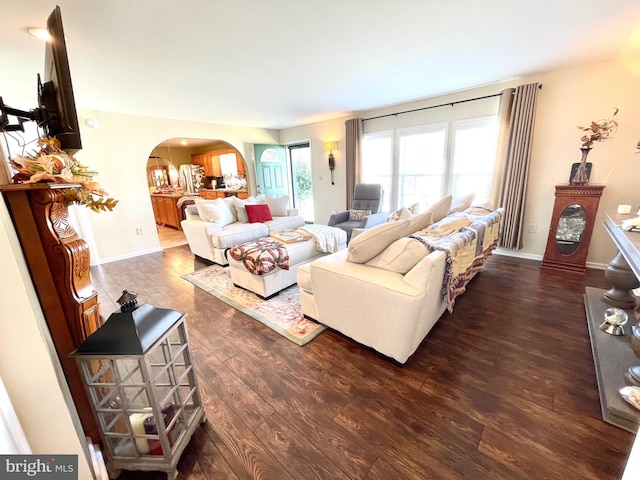 living room with dark hardwood / wood-style floors