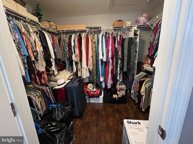 walk in closet with dark hardwood / wood-style flooring