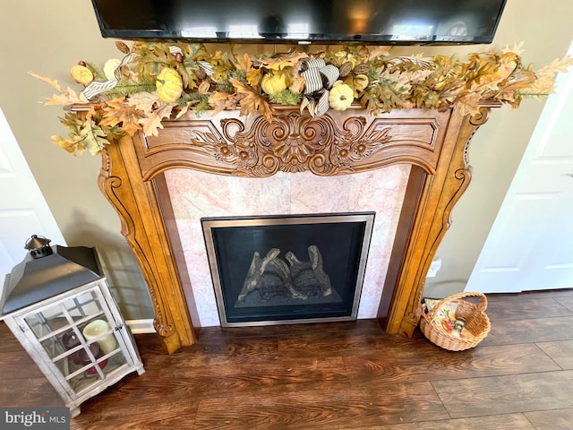 details with hardwood / wood-style flooring and a high end fireplace