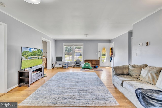 living room with ornamental molding and light wood-type flooring