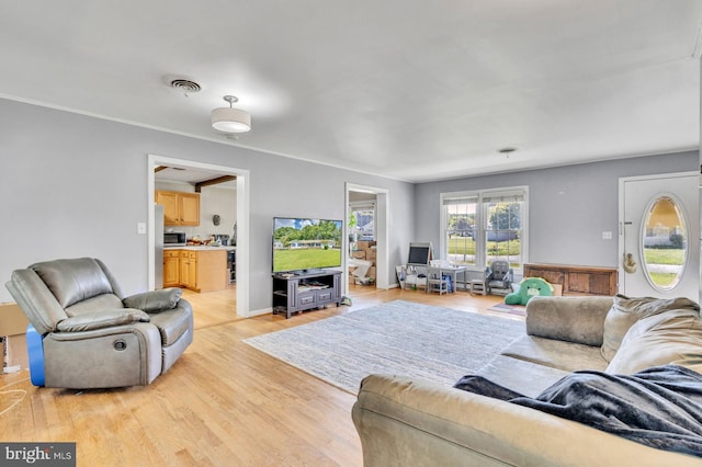 living room with wood-type flooring