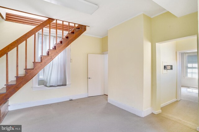 stairway with ornamental molding and carpet flooring