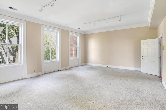 carpeted empty room featuring crown molding, track lighting, and plenty of natural light