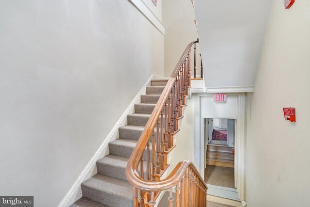 stairs featuring carpet floors