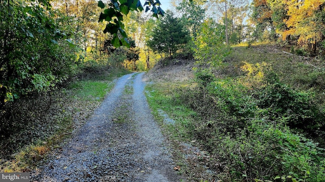 view of street