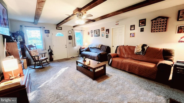 living room featuring beam ceiling, ceiling fan, and carpet flooring