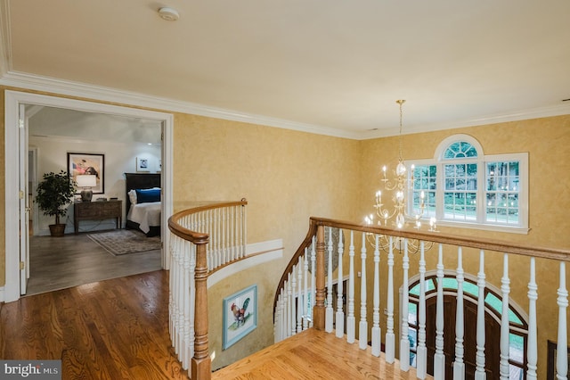 hall with an inviting chandelier, wood-type flooring, and crown molding