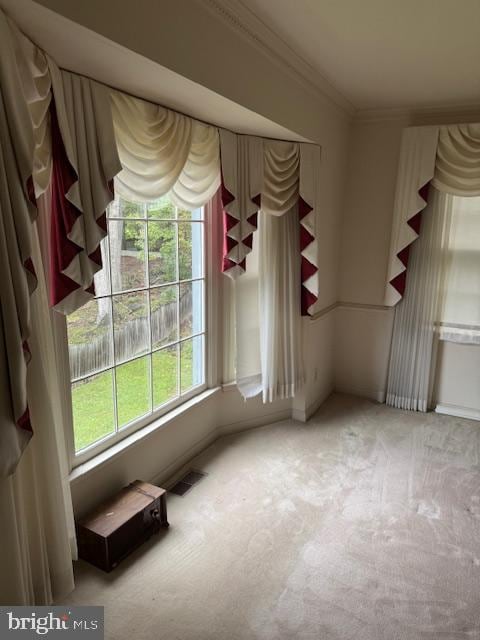 unfurnished bedroom featuring light colored carpet and ornamental molding