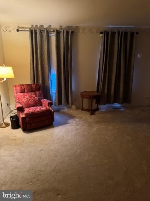 living area with carpet flooring