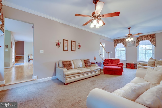 carpeted living room featuring ceiling fan and crown molding