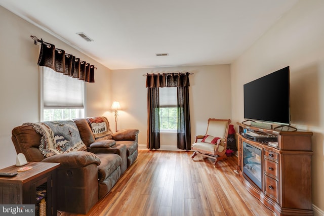 living room featuring light wood-type flooring and a wealth of natural light