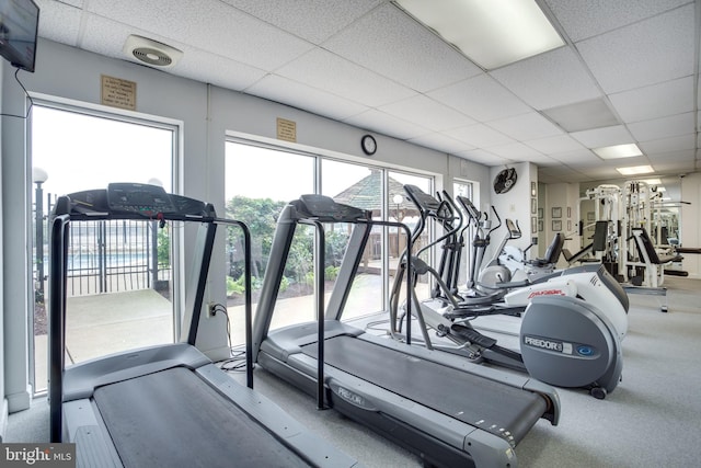 exercise room with a paneled ceiling and carpet