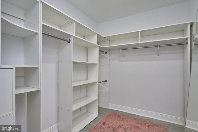 spacious closet featuring dark hardwood / wood-style floors