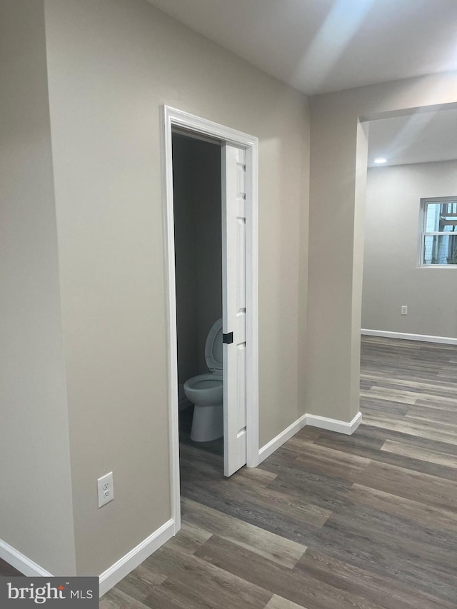 hallway featuring dark wood-type flooring