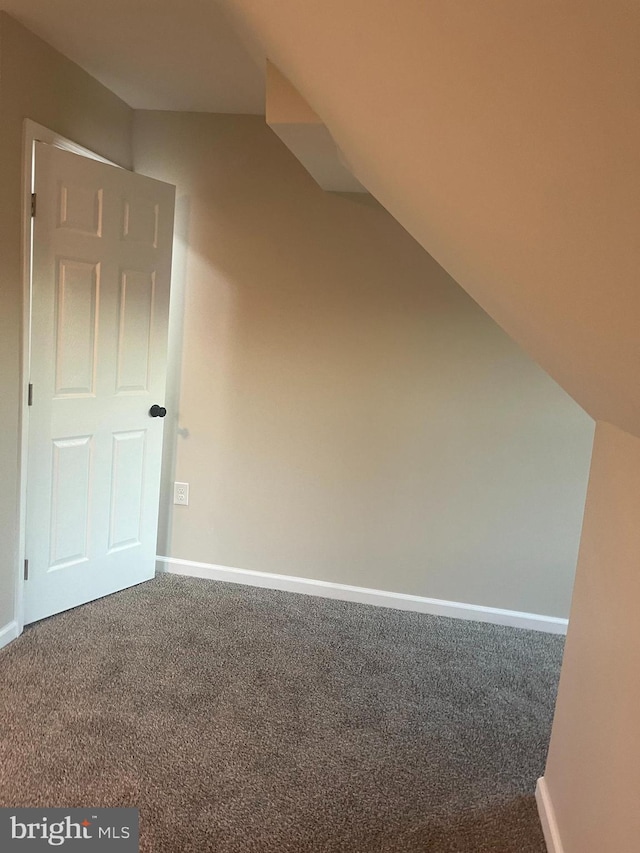 bonus room with carpet flooring