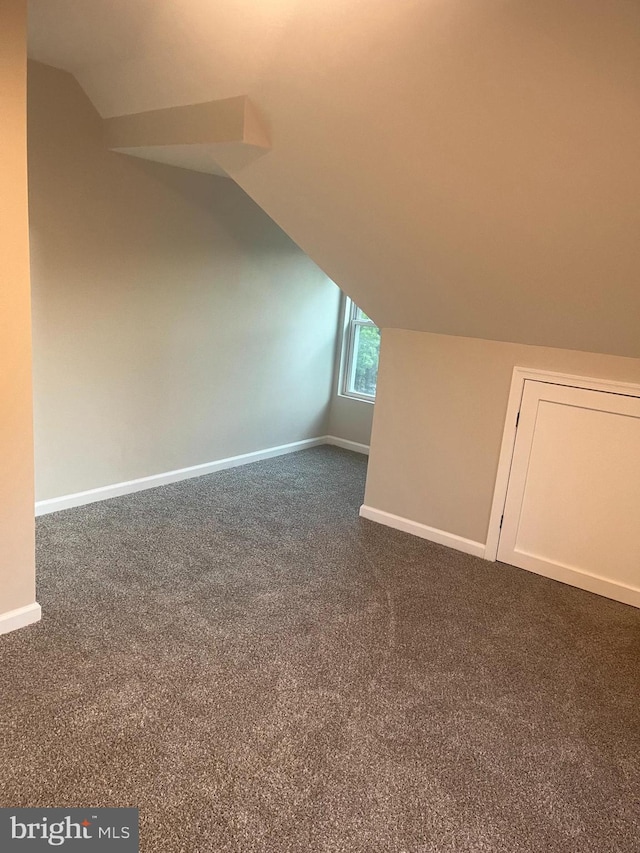 bonus room featuring carpet floors and vaulted ceiling