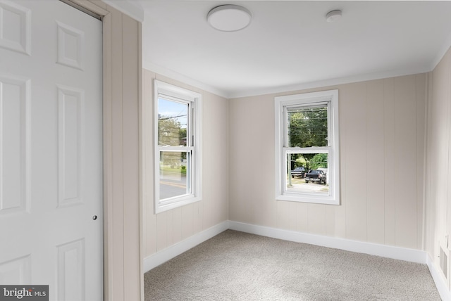 carpeted spare room with a healthy amount of sunlight and ornamental molding