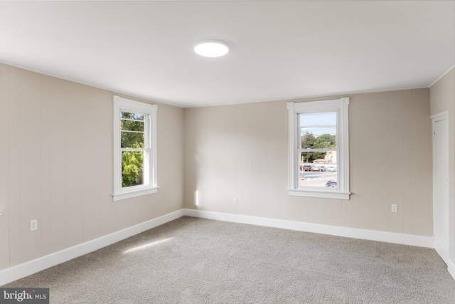 spare room featuring carpet floors and a wealth of natural light