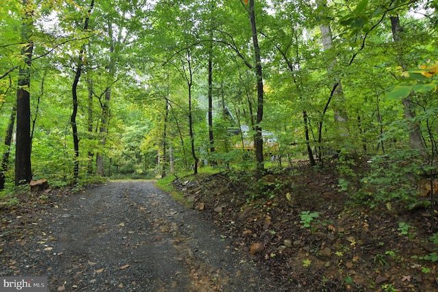 view of road