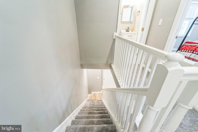 staircase featuring carpet flooring and sink