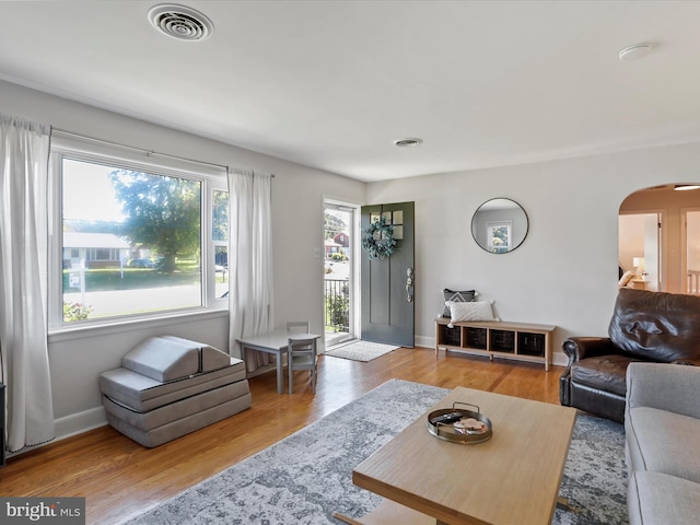 living room with wood-type flooring