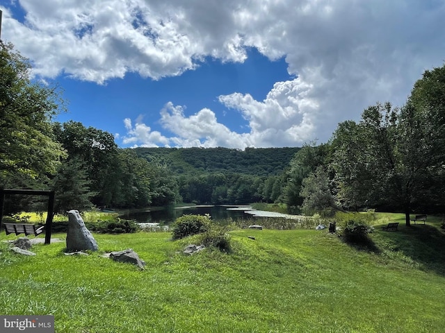 Listing photo 3 for 429 Camelback Ln, Zion Grove PA 17985